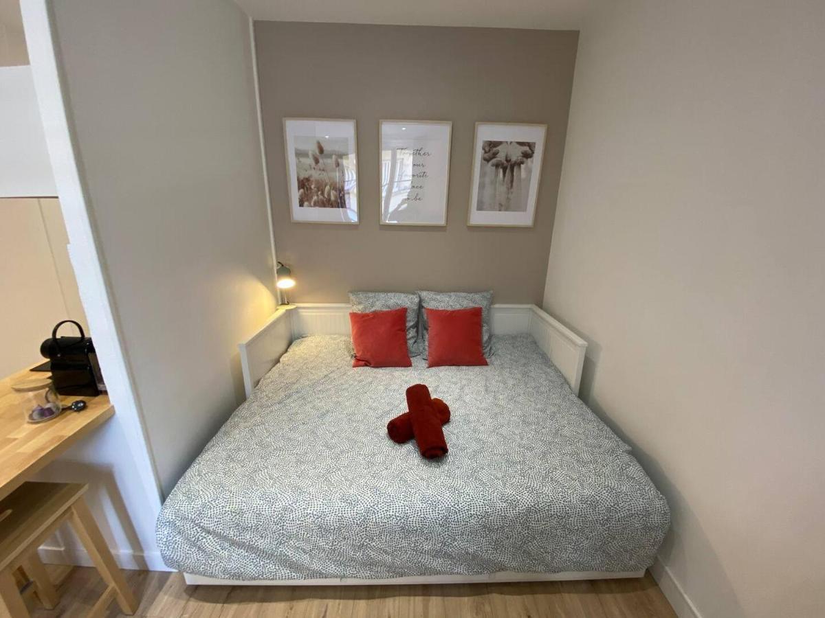 Place De Metz, Hyper-Centre Grenoble, Studio 25 M2 Bagian luar foto
